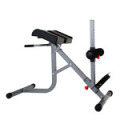 BodyCraft F670 Roman Chair